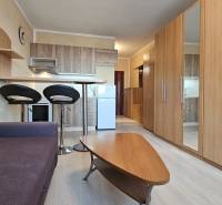 TOPOĽĆANY - zariadená garsónka na sídlisku JUH - Garsónka so sedačkou, kuchynským kútom, podlahou s dreveným dekorom a vstavanými skriňami.