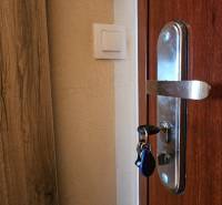 TOPOĽĆANY - zariadená garsónka na sídlisku JUH - Drevené dvere v garsónke s kovovým kľučkom a svetlým vypínačom.