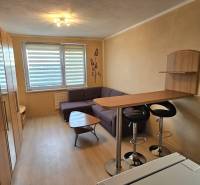 TOPOĽĆANY - zariadená garsónka na sídlisku JUH - Garsónka s podlahou s dreveným dekorom, kuchynským pultom a sedačkou.