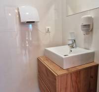 Prenájom kaviarne  v obci Nová Dedinka pri Senci - Kúpeľňa s umývadlom a skrinkou s dreveným dekorom v gastro priestoroch.