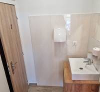 Prenájom kaviarne  v obci Nová Dedinka pri Senci - Kúpeľňa s umývadlom a podlahou s dreveným dekorom v Gastro priestoroch.