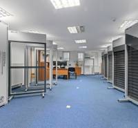 Kancelárie-Showroom 357 m², Zadunajská cesta, Petržalka, BA - Obchodné priestory s modrým kobercom, vystavené výrobky a kancelársky nábytok.