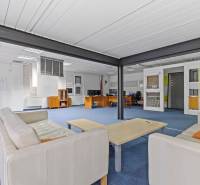 Kancelárie-Showroom 357 m², Zadunajská cesta, Petržalka, BA - Interiér obchodných priestorov s krémovou sedačkou, modrým kobercom a stolmi.