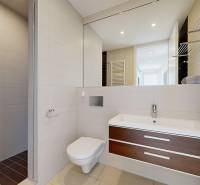 Exkluzívny byt pod Slavínom s terasou a výhľadom na Bratislavu - Elegantná kúpeľňa so zrkadlom a umývadlom v 4-izbovom byte.