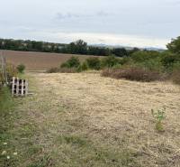 Predaj investičného pozemku – Zvončín - Záhrady v Zvončíne ponúkajú výhľad na lúky a polia v oblasti Zvončín.