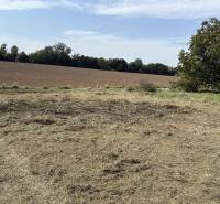 Predaj investičného pozemku – Zvončín - Pole a tráva v Záhradách v Zvončíne, pri Zvončíne, s jasnou oblohou a stromami.