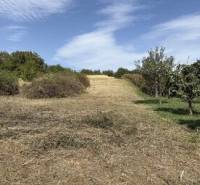 Predaj investičného pozemku – Zvončín - Nálepka 