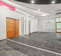 NA PREDAJ OBCH.PRIESTOR, BRATISLAVA–VRAKUŇA (PENTAGON) - Obchodné priestory s tmavou dlažbou, drevenými dverami a bielymi stenami.