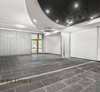 NA PREDAJ OBCH.PRIESTOR, BRATISLAVA–VRAKUŇA (PENTAGON) - Obchodné priestory s veľkými oknami a dlažbou, neutrálne farby na stenách.