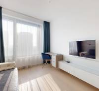 Elegantný byt na mieru s panorámou hradu  - Svetlá obývacia izba v 3-izbovom byte so sedačkou a televíziou, podlaha s dreveným dekorom.