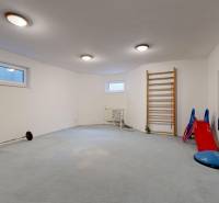 RIVERS - Veľkorysý rodinný dom po rekonštrukcii  - Izba na cvičenie v rodinnom dome s posilňovacím náradím a zrkadlami.