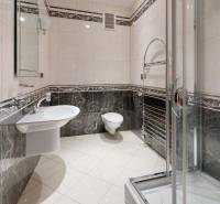 Veľkometrážny byt na Slavíne s výhľadom na mesto - Kúpeľňa so sprchovým kútom, umývadlom a toaletou v 5 a viac izbovom byte na ulici Havlíčkova.