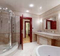 Veľkometrážny byt na Slavíne s výhľadom na mesto - Luxusná kúpeľňa v priestrannom 5 a viac izbovom byte na ulici Havlíčkova.