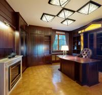 Veľkometrážny byt na Slavíne s výhľadom na mesto - Luxusná kancelária s drevenými panelmi, krbom a osvetlením, vhodná do 5 a viac izbového bytu.