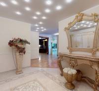 Veľkometrážny byt na Slavíne s výhľadom na mesto - Interiér s honosnou výzdobou, zrkadlom a nábytkom, na ulici Havlíčkova, 5 a viac izbový byt.