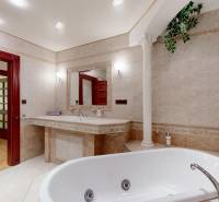 Veľkometrážny byt na Slavíne s výhľadom na mesto - Luxusná kúpeľňa so stĺpom a vaňou v byte na Havlíkovej ulici.