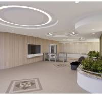 Prenájom kancelárií na prízemí budovy, Ružinov - Interiér kancelárie so zaoblenými stropmi, dreveným dekorom a zeleňou.