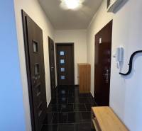 Prenájom 2-izb bytu v Bratislave-Rača - Chodba so vstupnými dverami v 2-izbovom byte, s tmavou podlahou a drevenými prvkami.