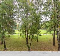 I Predaj 3- izbového bytu v Dúbravke - Zeleň a stromy na Gallayovej ulici v Bratislave - Dúbravke, blízko 3-izbového bytu.