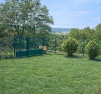 Bývajte vo svojom : dom a  pozemok 690 m², Veľké Ripňany 77.000,-EUR - Zelený trávnik so živým plotom a bránou pri rodinnom dome vo Veľkých Ripňanoch.