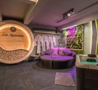 | Luxusný dvojúrovňový mezonet v Starom Meste - Wellness zóna s vírivkou, zelenou stenou a pohodlným posedením v 3-izbovom byte.