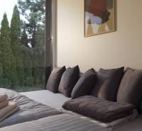 I Predaj Ecocapsule – autonómne ekologické bývanie - Pohodlná posteľ so sivými vankúšmi a výhľadom na prírodu cez veľké okno.