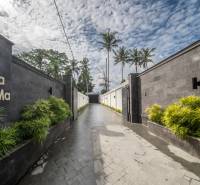 I Na predaj Luxusná vila „Tomma“ v Ubud, Bali - Vila v Bali obklopená palmami, dláždená cesta a zeleň pozdĺž plotu.