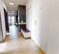 Na predaj nadštandardne zariadený 3 izb.byt, Trenčín, ul. Odevná - Chodba v 3-izbovom byte s podlahou s dreveným dekorom a úložným priestorom.