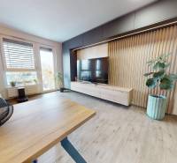 Na predaj nadštandardne zariadený 3 izb.byt, Trenčín, ul. Odevná - Obývacia izba v 3-izbovom byte s podlahou s dreveným dekorom a izbovými rastlinami.