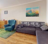 RADO I 4i byt, 90m2 I ul. Opatovská I Trenčín - Obývačka s podlahou s dreveným dekorom v 4-izbovom byte, pohodlné sedenie a dekorácie.