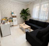 Predaj, výrobný a veľkoobchodný areál v okrese Veľký Krtíš - Pohovka, konferenčný stolík a rastlina v interiéri výrobných priestorov s podlahou s dreveným dekorom.