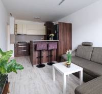 Prenájom Štýlový 2-iz bový byt pri OC Central BEZ PROVÍZIE!!!!  - Obývacia izba s kuchyňou, sedačkou, barovým pultom a podlahou s dreveným dekorom v 2-izbovom byte.