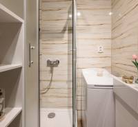 Prenájom Štýlový 2-iz bový byt pri OC Central BEZ PROVÍZIE!!!!  - Kúpeľňa s kvetmi, sprchovacím kútom, umývadlom a zrkadlom v 2-izbovom byte.