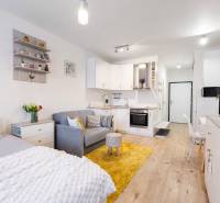 Prenájom 1-izbového bytu, Béžová, Béžová, Petržalka - REZERVOVANÉ - Svetlý interiér 1-izbového bytu s kuchyňou, posteľou a podlahou s dreveným dekorom.