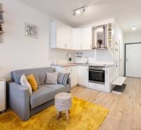 Prenájom 1-izbového bytu, Béžová, Béžová, Petržalka - REZERVOVANÉ - Kompaktný 1-izbový byt s kuchynským kútom, sivou pohovkou a podlahou s dreveným dekorom.