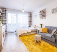Prenájom 1-izbového bytu, Béžová, Béžová, Petržalka - REZERVOVANÉ - Jednoduchý 1-izbový byt s podlahou s dreveným dekorom, posteľou, pohovkou a žltým kobercom.