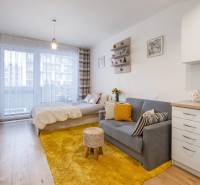 Prenájom 1-izbového bytu, Béžová, Béžová, Petržalka - REZERVOVANÉ - Svetlý 1-izbový byt s pohovkou, posteľou a podlahou s dreveným dekorom.