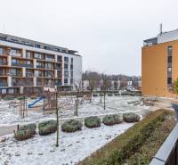 Prenájom 1-izbového bytu, Béžová, Béžová, Petržalka - REZERVOVANÉ - Zasnežený dvor s ihriskom medzi bytovými domami v Bratislave na Béžovej ulici.