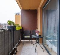 Prenájom 1-izbového bytu, Béžová, Béžová, Petržalka - REZERVOVANÉ - Balkón v 1-izbovom byte na Béžovej ulici v Bratislave - Petržalke s rastlinami a nábytkom.