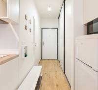 Prenájom 1-izbového bytu, Béžová, Béžová, Petržalka - REZERVOVANÉ - Úzka chodba s kuchynskou linkou, mikrovlnkou a podlahou s dreveným dekorom v 1-izbovom byte.