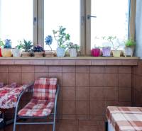 Predaj 4-izbového bytu, Vyšehradská, Vyšehradská, Petržalka - Zariadený 4-izbový byt s kvetmi na parapete a stolíkom s kobercom na balkóne.