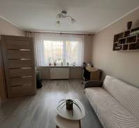 Na predaj  3-izbový byt v meste Rajec  - Obývacia izba v 3-izbovom byte s podlahou s dreveným dekorom, pohovkou a stolíkom.