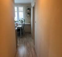 Na predaj  3-izbový byt v meste Rajec  - Úzka chodba v 3-izbovom byte vedie k svetlej jedálni s rastlinami a dekoráciami.