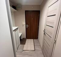 Na predaj  3-izbový byt v meste Rajec  - Predsieň s podlahou s dreveným dekorom, vešiakmi a dverami v 3-izbovom byte.