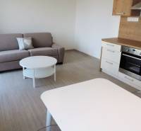 Moderná garsónka v obľúbenej Rezidencii Tematínska - Piešťany - Štýlová garsónka s kuchynským kútom, sedačkou a stolíkom na ulici Bodona.