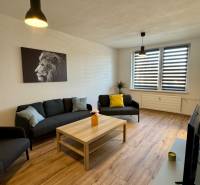 NA PRENÁJOM veľký 3 izbový byt na Čermáni NITRA - Obývacia izba s podlahou s dreveným dekorom, sedačka, konferenčný stolík, obraz leva.