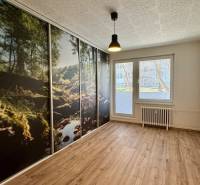 NA PRENÁJOM veľký 3 izbový byt na Čermáni NITRA - Izba v 3-izbovom byte s veľkoplošnou tapetou lesa a podlahou s dreveným dekorom.