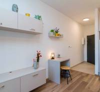 Novostavba 1 izbový byt, Bernolákovská ulica, Ivanka pri Dunaji - Interiér 1-izbového bytu so svetlým nábytkom a podlahou s dreveným dekorom.