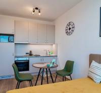 Novostavba 1 izbový byt, Bernolákovská ulica, Ivanka pri Dunaji - Kuchyňa v 1-izbovom byte s podlahou s dreveným dekorom, jedálenským stolom a gaučom.