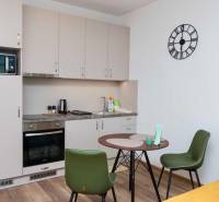 Novostavba 1 izbový byt, Bernolákovská ulica, Ivanka pri Dunaji - Kuchyňa v 1-izbovom byte s podlahou s dreveným dekorom a jedálenským stolom.